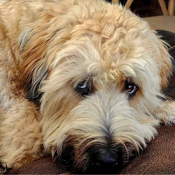 #Meet The Posher Monika - Picture 10 of 11